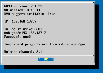 GNS3vm properties with internet enabled
