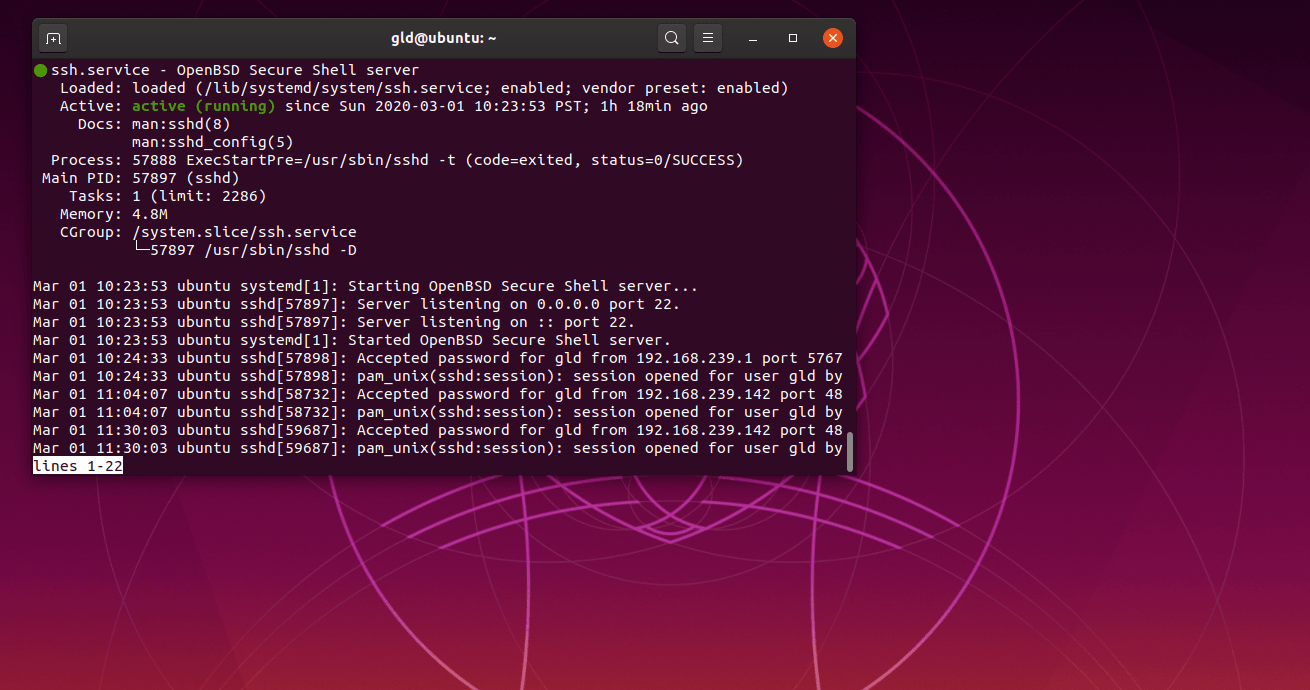 How to Enable SSH Access on Ubuntu?