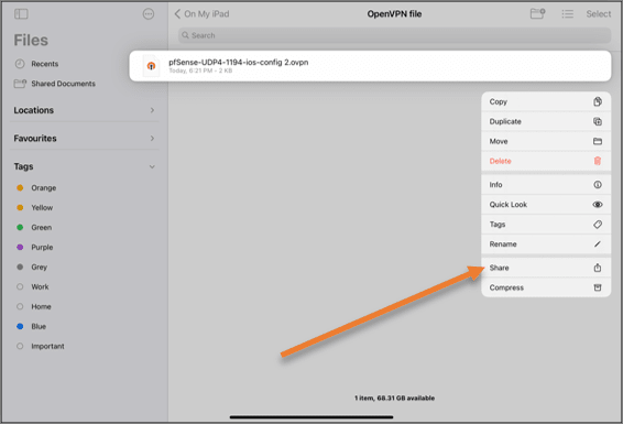 import openvpn ipad