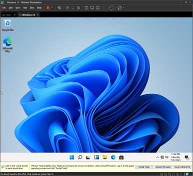 windows 11 desktop in vmware.