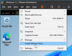 install VMware tools in windows 11.