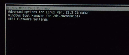 How to Dual Boot Linux Mint and Windows 11?