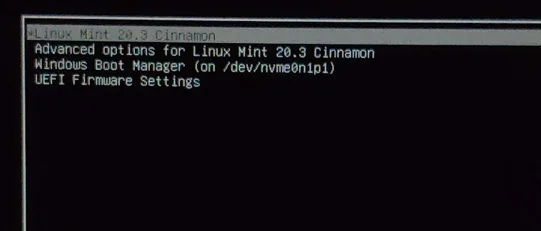 linux mint dualboot with windows 11